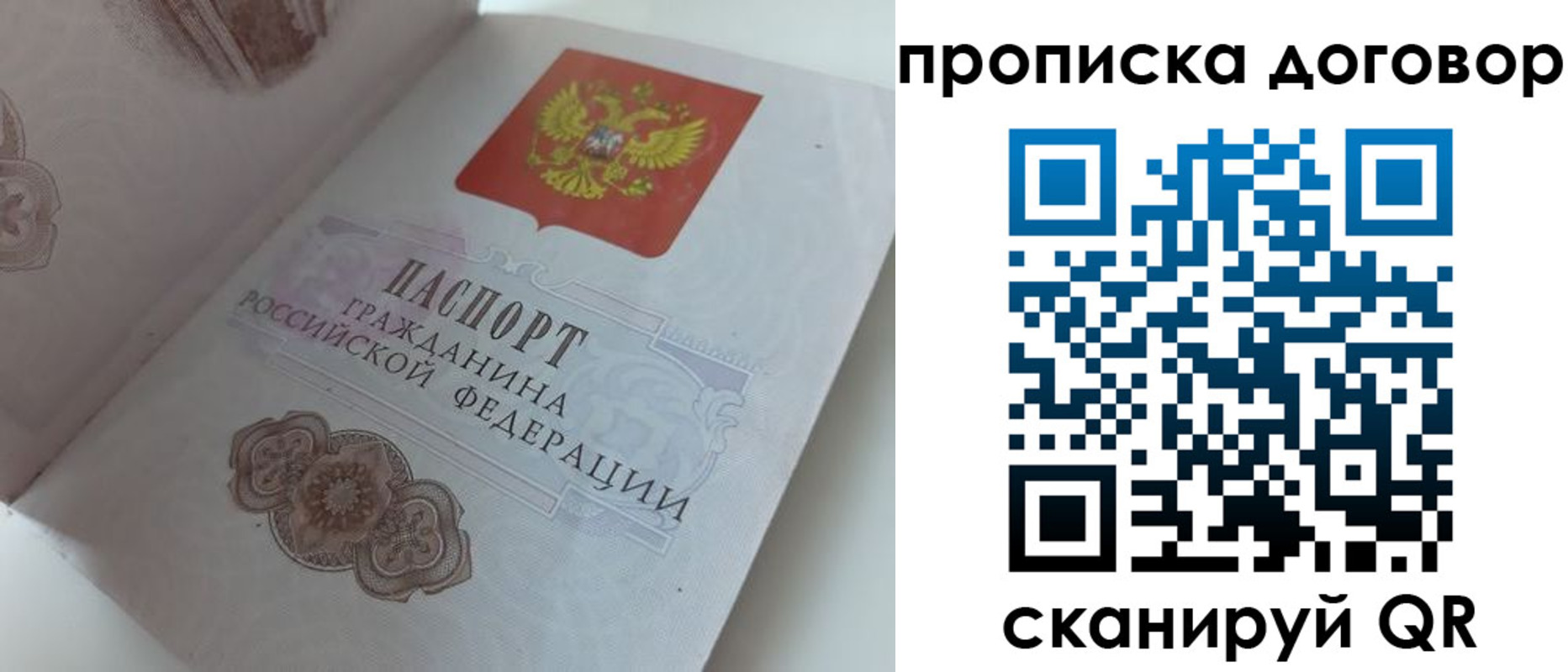 прописка поиск в Алтайском крае